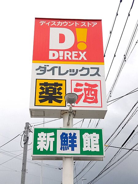 画像23:【ディスカウントショップ】ダイレックス 久留米店まで572ｍ