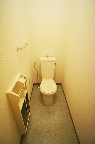 画像16:落ち着いた色調のトイレです