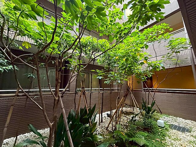 その他 クラッシィハウス等々力 4階/-