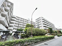 パレロワイヤル杉並