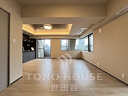 東京メトロ南北線 白金高輪駅 徒歩2分 2LDKのリビング/ダイニング