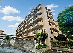 東京都調布市緑ケ丘２丁目