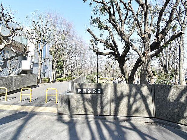 世田谷公園:徒歩9分(659m)