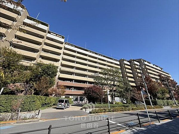 外観：313004597197