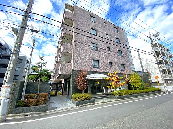 外観：313004594716