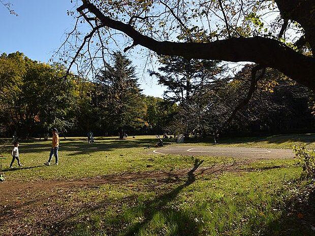 東京都立砧公園：徒歩19分（1500ｍ）