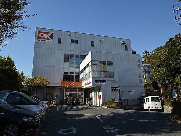 オーケー成城店:徒歩18分(1367m)