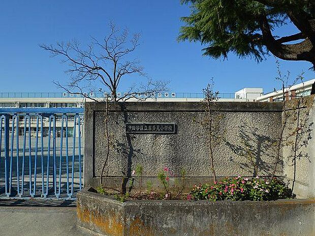 世田谷区立喜多見小学校:徒歩7分(529m)