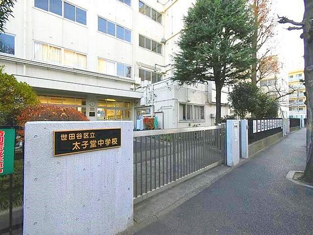世田谷区立太子堂中学校:徒歩6分(460m)