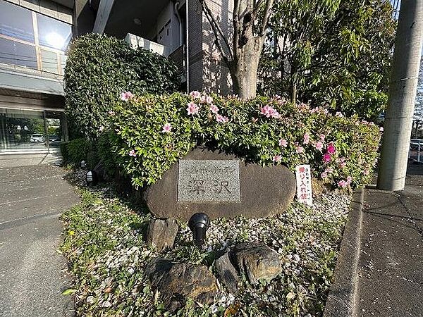 外観：313004700499