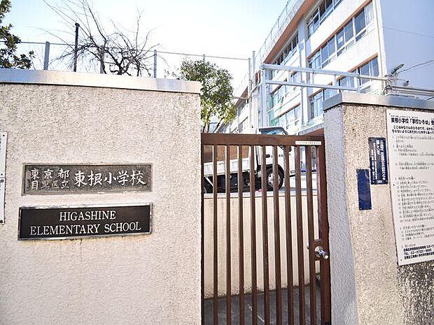 目黒区立東根小学校まで約474m
