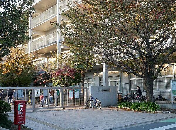 世田谷区立船橋小学校まで約660m