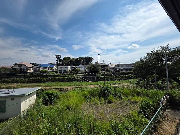 現地(2026年7月)撮影
