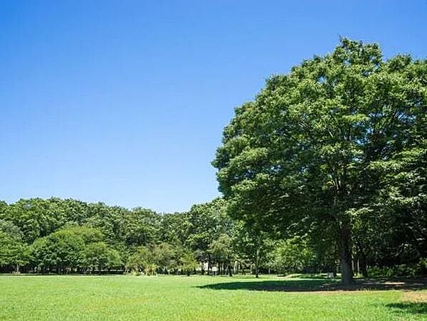 東京都立砧公園まで約870m