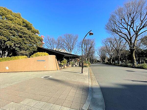 周辺を拡大表示