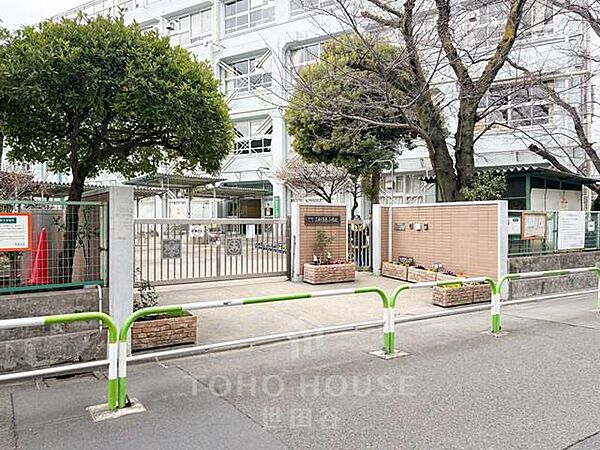 世田谷区立三軒茶屋小学校まで約230m