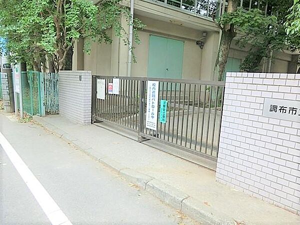 調布市立若葉小学校まで約807m