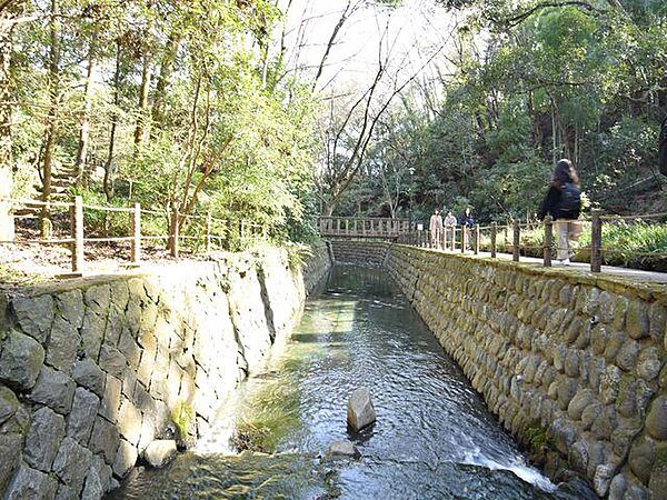 等々力渓谷公園まで約1500m