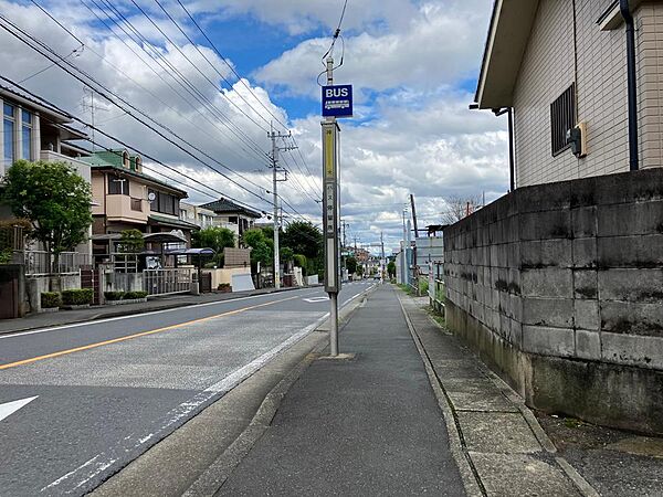 画像の説明文を入力してください（100文字）※入力がない場合、説明文は掲載されません