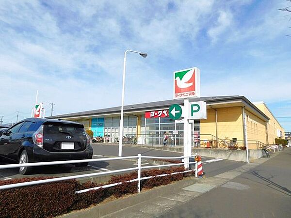 スーパー ヨークベニマルコスモス通り店 581m