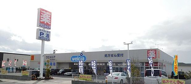 ドラッグストア ウエルシア郡山開成店 650m