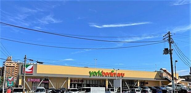 スーパー ヨークベニマル菜根店 1000m