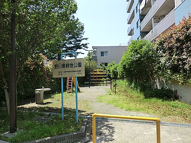 野川東耕地公園まで約650m