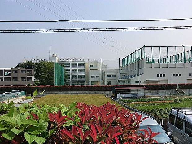 府中第九中学校まで約500m!
