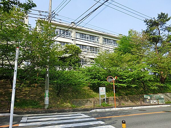 川崎市立白鳥中学校まで約1200m