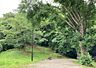 その他：狛江いちょう公園まで約650ｍ！