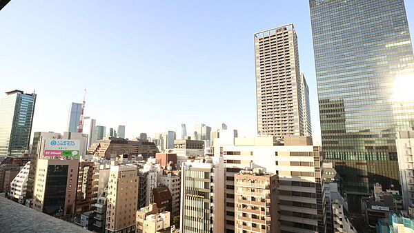 バルコニーからは、東京タワーを望む都心らしい開放的な眺望が広がります。高層ビル群が織りなすダイナミックな景色は、昼夜で表情を変え、都心生活の魅力を存分に堪能できます。