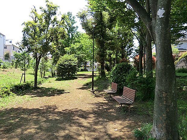 今宿公園　360ｍ