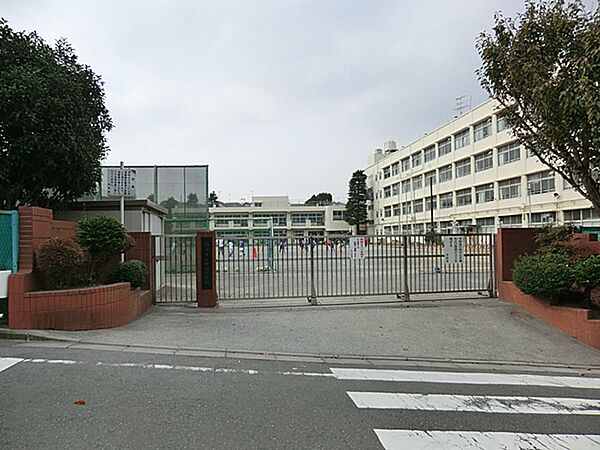 横浜市立中沢小学校 290ｍ