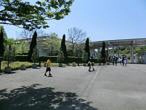 横浜動物の森公園2500ｍ