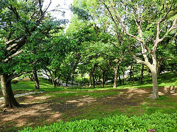 神の木公園650m