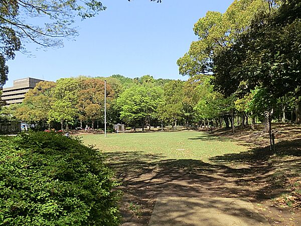 港南台中央公園1100ｍ