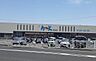 周辺：アルク厚南店(477m)