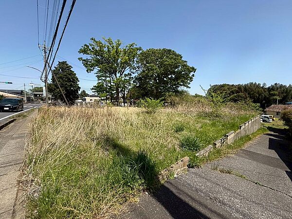 広々としたお土地はお庭や駐車場を広くとることができ、より理想のおうちを実現していただけやすいです。（2025年4月撮影）