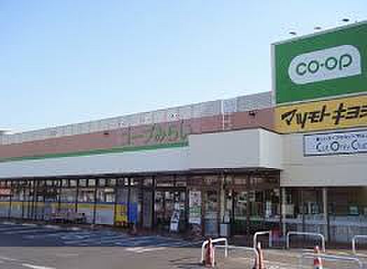 コープ 薬円台店（約550m）