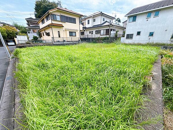 たっぷりの陽光です。（2025年9月撮影）