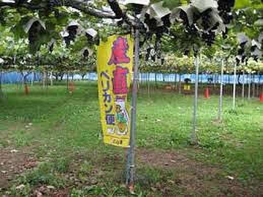 木谷公園（約220m）