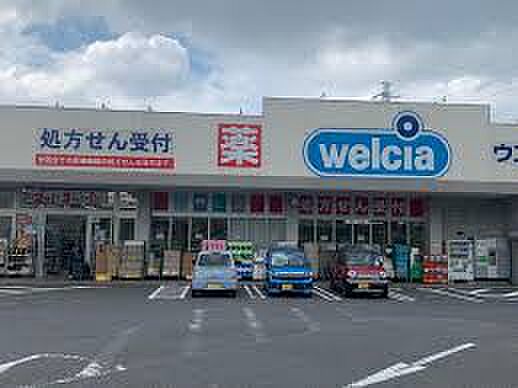 ウエルシア千葉園生店（約800m）