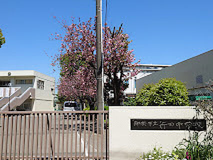船橋市立行田中学校（約800m）