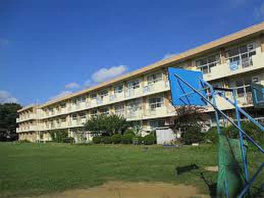千葉市立横戸小学校（約400m）