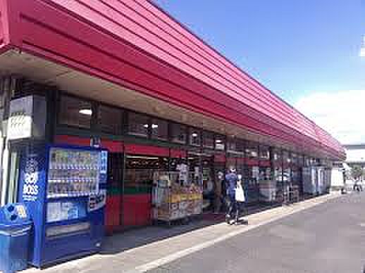 スーパーチェーンカワグチ ＳＣこてはし中央店（約1100ｍ）