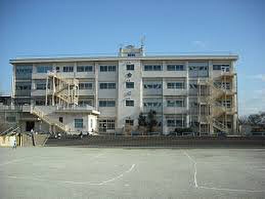 千葉市立桜木小学校（約500m）