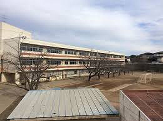 佐倉市立西志津中学校（約500m）