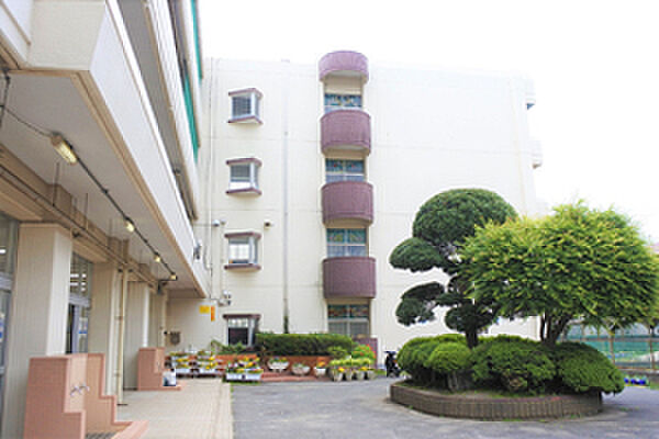 船橋市立七林小学校（約600ｍ）