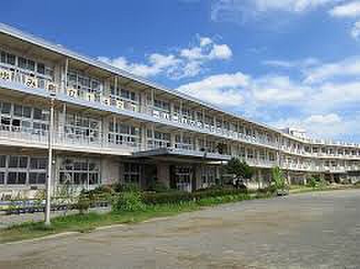 千葉市立検見川小学校（約500m）