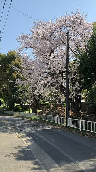 船橋市立前原中学校（約160ｍ）
